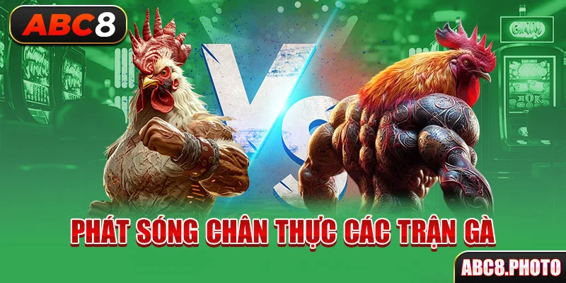 phat-song-chan-thuc-cac-tran-ga